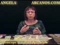 Video Horscopo Semanal CAPRICORNIO  del 7 al 13 Agosto 2011 (Semana 2011-33) (Lectura del Tarot)