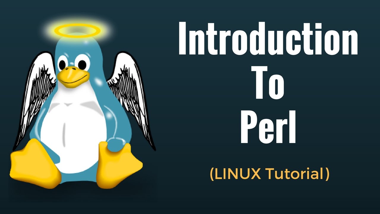 Introduction to Perl Linux Tutorial 16 YouTube