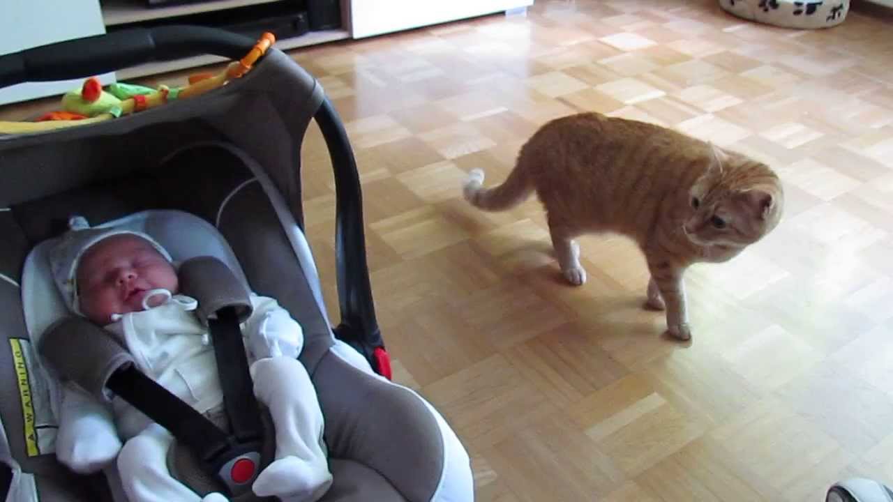 Site de rencontre bebe