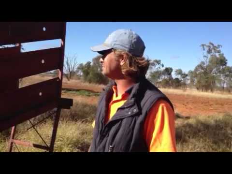 Farmer Dave says Bon Voyage to his Sydney bound sheep