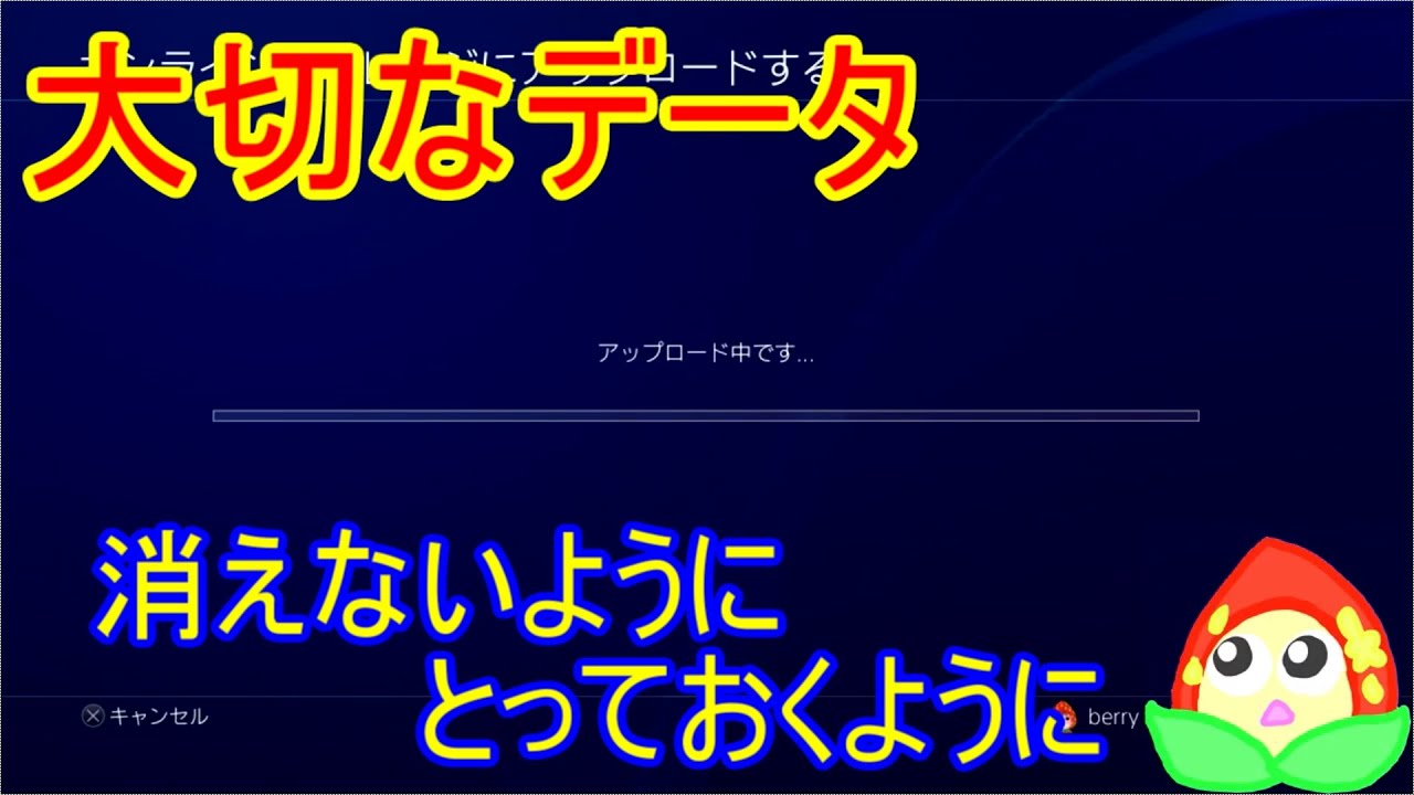 セーブをインポートする方法