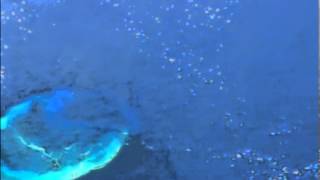 Breaking news! A huge anomaly on the surface of the ocean - Shooting with the ISS July 17, 2013