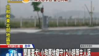 20140428中天新聞　開車棄犬！　小狗原地癡守12小時等主人返