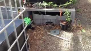 Aquaponics Tour March 2013