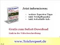 Teichpflanzen - Teichpflanzenplan für Ihren Teich, Gartenteich, Schwimmteich oder Koiteich- Video