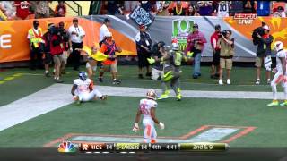 "Streaker" at 2014 pro bowl