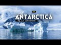 Antarctica - The Icy Continent  [Hindi]  Infinity Stream