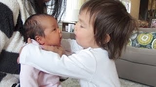 YOU MUST WATCH THIS!!! - April 14, 2014 - itsJudysLife Daily Vlog