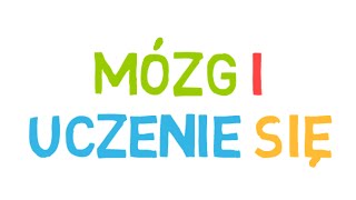 Mózg i Uczenie się - Ciekawe Fakty