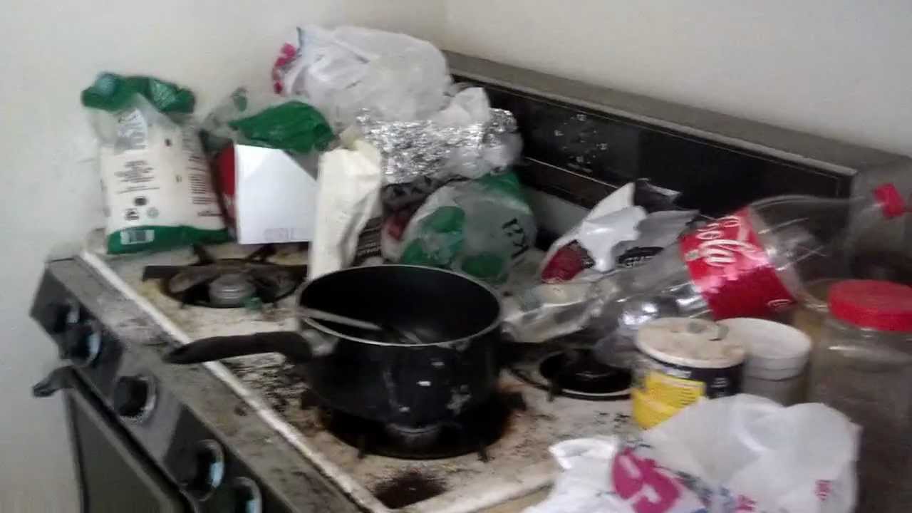 Roaches in dirty apartment YouTube