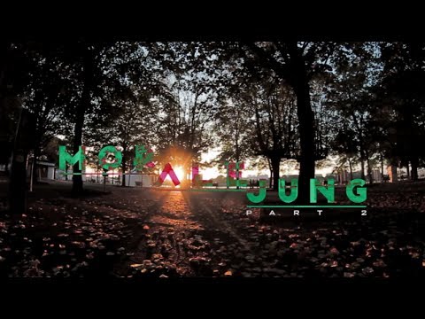 MOR ALE JUNG / part 2 / Parkour & Free Running Fails