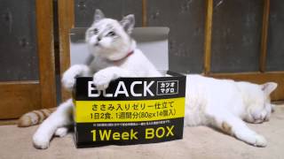 くろ　BLACK