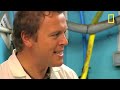 I Didn't Know That - Robot Can Milk 70 Cows a Day