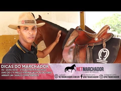#2 DICAS DO MARCHADOR - RODRIGO DIAS - COMO ARRIAR O CAVALO - MANGALARGA MARCHADOR