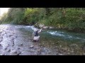 Pêche de la truite à la mouche en Pays Savoyard (Visionner en HD 1080p)