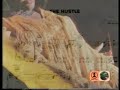 VAN McCOY - the hustle (1975) (HQ)