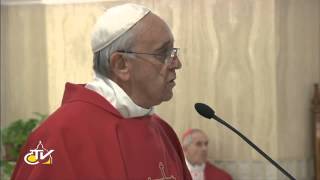 Papa Francesco: come san Tommaso tocchiamo le piaghe di Gesù