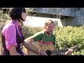 UNDER THE BRIDGE - Nicki & Tim Bluhm