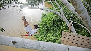 Treetop Dive Into The Amazon River