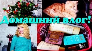 Домашний VLOG:украшаю дом,вопросы,ну и конечно кошка!