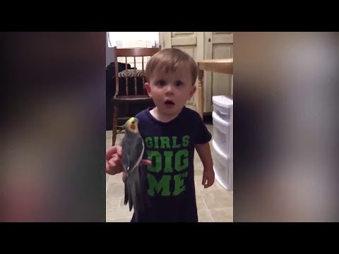 FUNNY 2019 Kids And Fish Become Best Friend - Big Family Fun