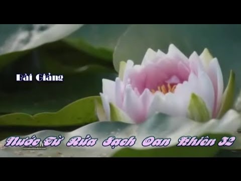 Nước Từ Rửa Sạch Oan Khiên (Kỳ 32)