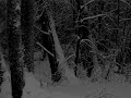 Just Depressive Black Metal Part 2