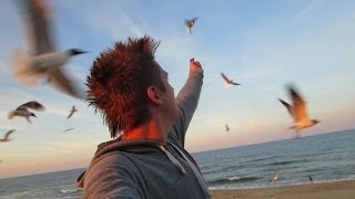 Feeding The Homeless....Birds!