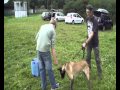 EDUCATION CANINE N°8 09 2014