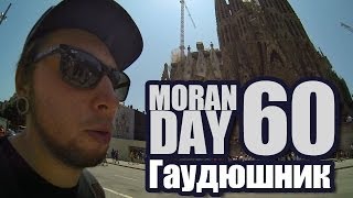 Moran Day 60 - Гаудюшник