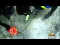 Paulina Zelitsky discovers symmetrical structures 2200 feet on ocean floor near Cuba