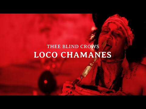 Thee Blind Crows - Loco Chamanes (Official Video)