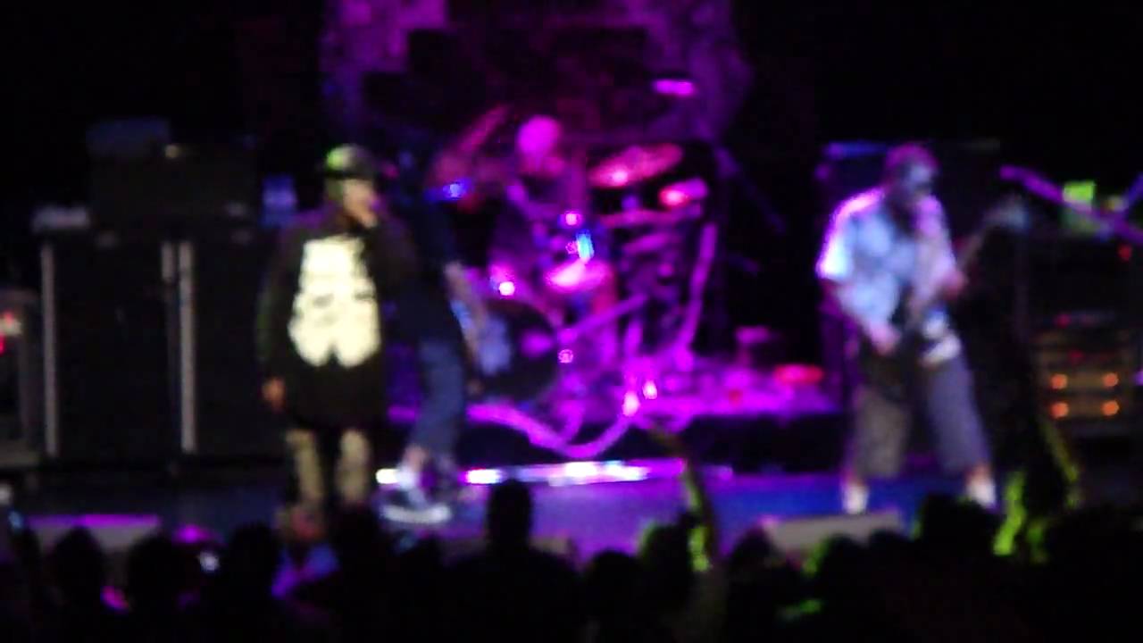 HED PE LIVE RAISE HELL! - YouTube