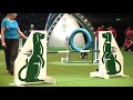 Agility - Singles Final - Small, Medium and Large - Crufts 2012