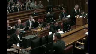 Oscar Pistorius Trial: Monday 30 June 2014, Session 1