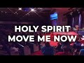vinesong   holy spirit move me now  