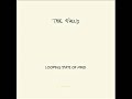 The Field - Looping State of Mind