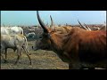 How Earth Made Us -5/5- Human Planet WWW.GOODNEWS.WS
