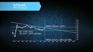 Watch Video: Effective Leverage
