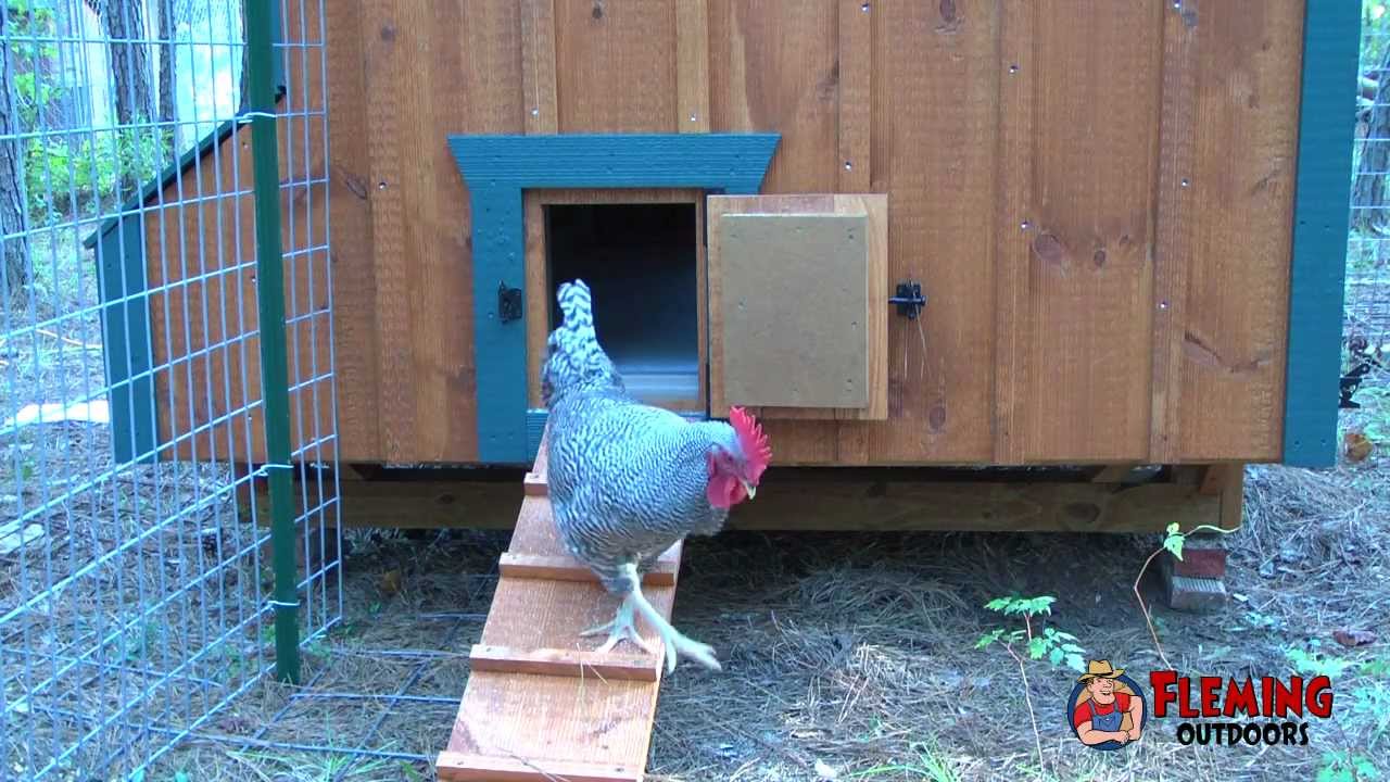 pullet shut automatic chicken coop door