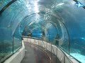 Barcelona - Aquarium