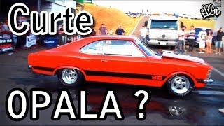 Curte Opala ? e Opala FORTE ?- Na Real D2M