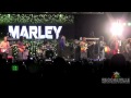 Damian, Stephen & Julian Marley - Intro / Is This Love