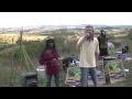 Video clip : Reggae Juice feat. Ramses, Fleur & Nemo