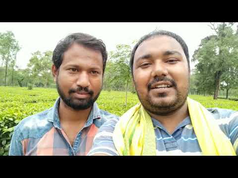 Telsura Bloopers,Telsura Comedy,Violina's Video Song Shooting