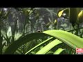 DirectX-11-Techdemo Ladybug (DoF, Focal Lens)