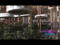 ProSource Worldwide Guide for LED Grow Lights