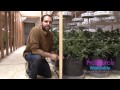 ProSource Worldwide Guide for LED Grow Lights