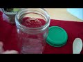 Thumbnail 1 for HOW TO GROW SPROUTS Thumbnail 1 for HOW TO GROW SPROUTS