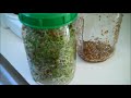 Thumbnail 3 for HOW TO GROW SPROUTS Thumbnail 3 for HOW TO GROW SPROUTS